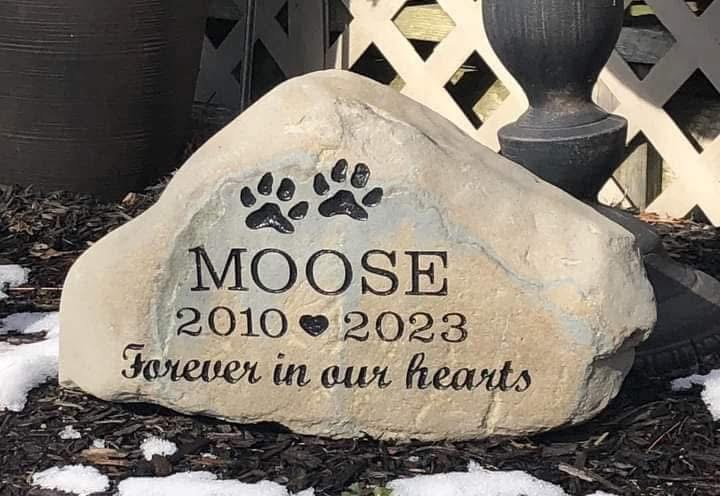 Pet memorial rock reading Moose, 2010-2023, Forever in our hearts