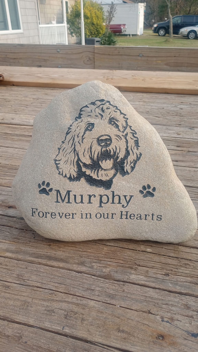 Pet memorial rock engraved with a dog portrait, reading Murphy, Forever in our Hearts