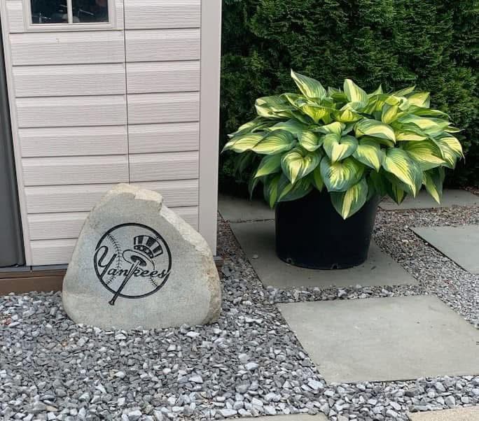 New York Yankees top hat logo engraved rock beside a garden shed
